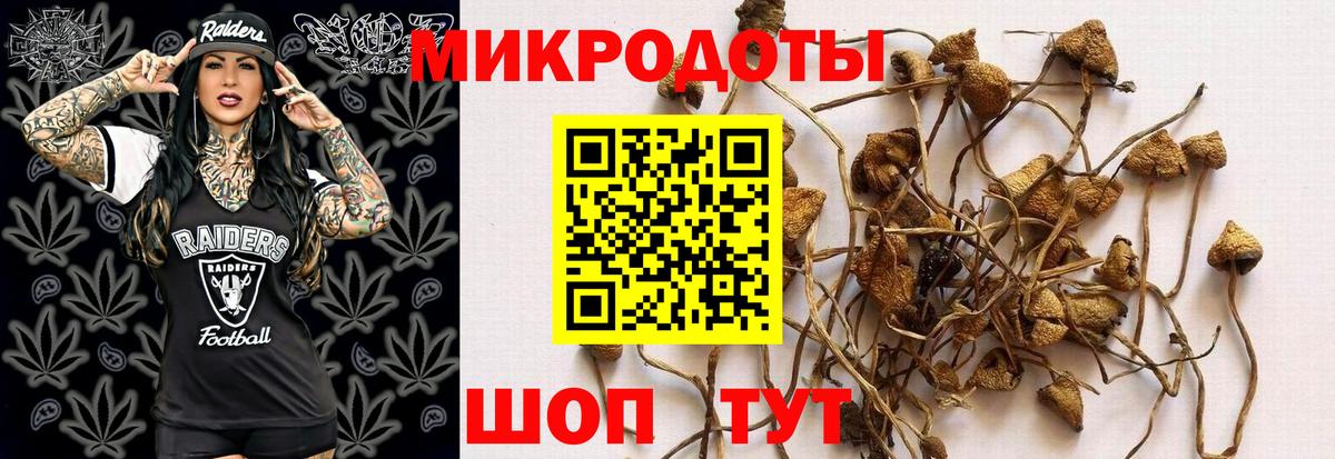Псилоцибиновые грибы мухоморы Кызыл