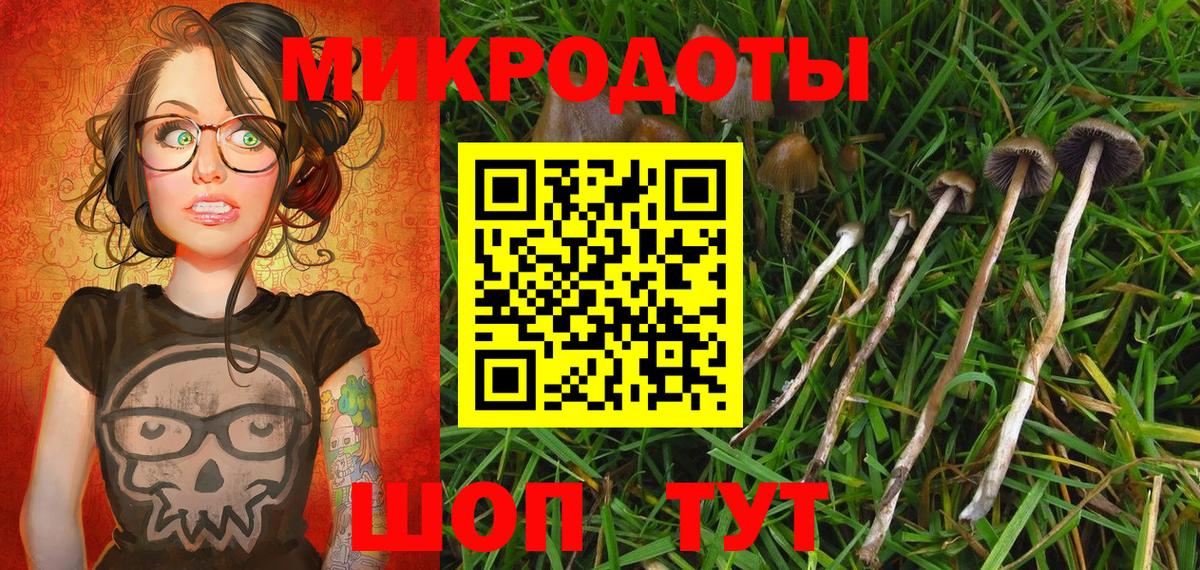Галлюциногенные грибы Psilocybine cubensis  Вход с VPN  Кызыл 